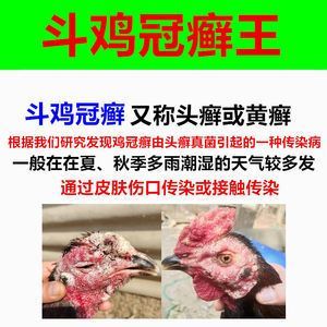 龍魚真菌感染怎么辦用什么藥好：關于龍魚真菌感染的治療方法和注意事項