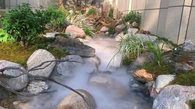 廣州百藝城推薦祥龍魚場E205