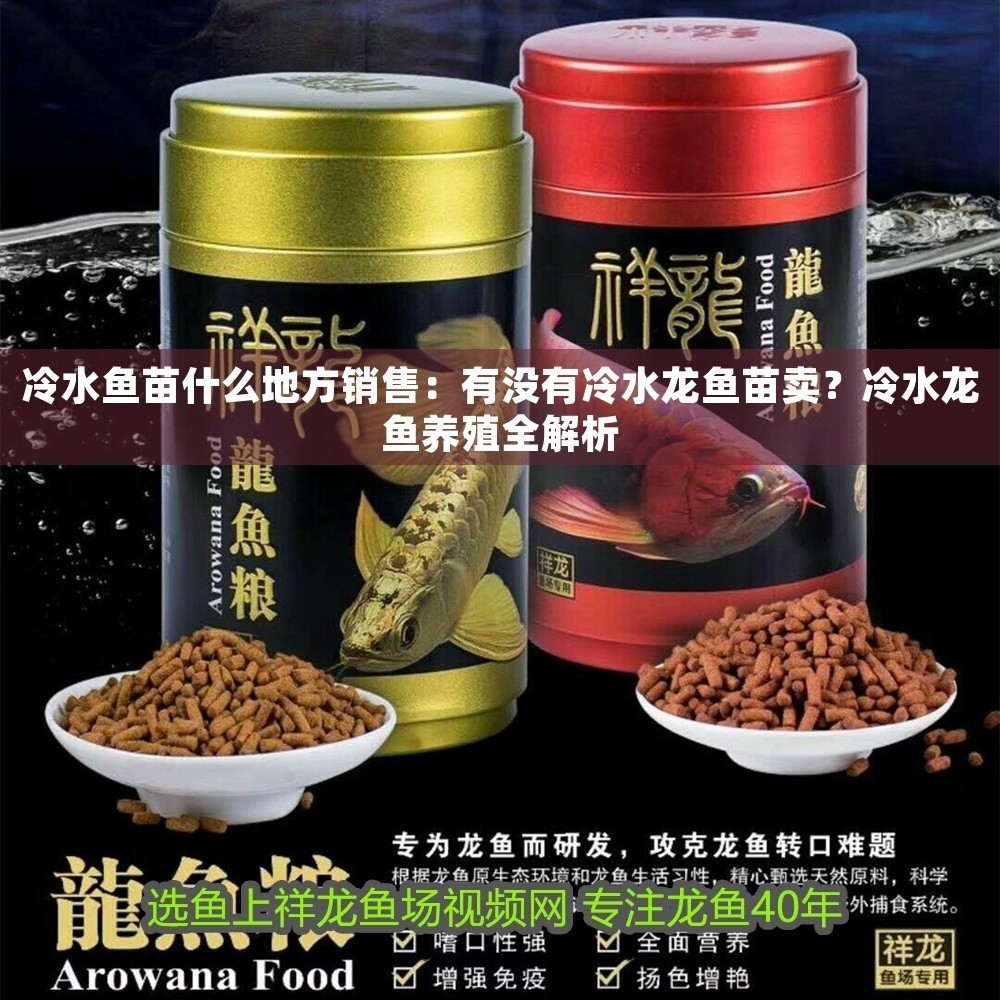 冷水魚苗什么地方銷售：有沒有冷水龍魚苗賣？冷水龍魚養殖全解析