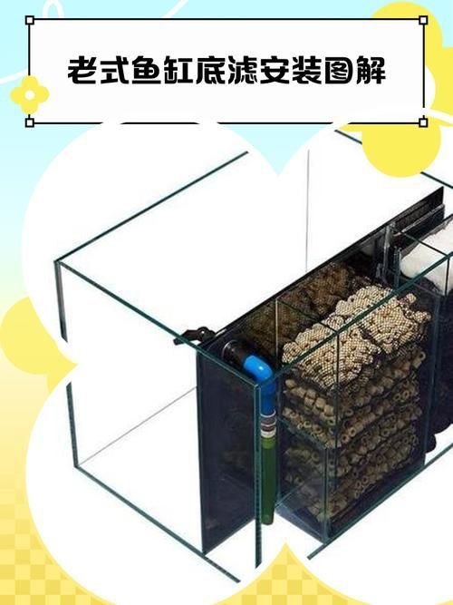 老式魚缸底濾安裝圖解 老式魚缸底濾安裝圖解 龍魚百科 第1張