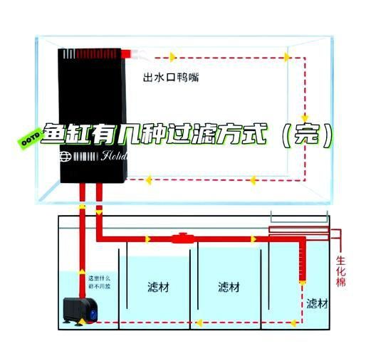 老式魚缸底濾安裝圖解 老式魚缸底濾安裝圖解 龍魚百科 第5張