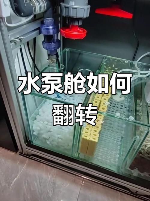 老式魚缸底濾安裝圖解 老式魚缸底濾安裝圖解 龍魚百科 第22張