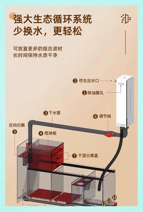 老式魚缸底濾安裝圖解 老式魚缸底濾安裝圖解 龍魚百科 第25張