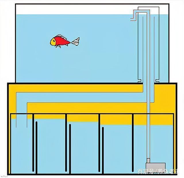 老式魚缸底濾安裝圖解 老式魚缸底濾安裝圖解 龍魚百科 第26張