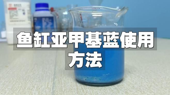 如何正確使用亞甲基藍治療龍魚真菌病？