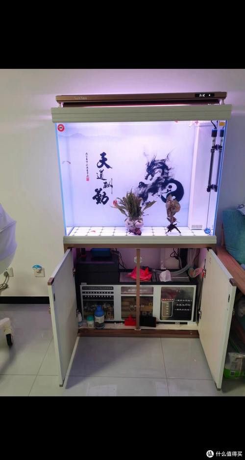 推薦幾款適合金龍魚繁殖的魚缸品牌