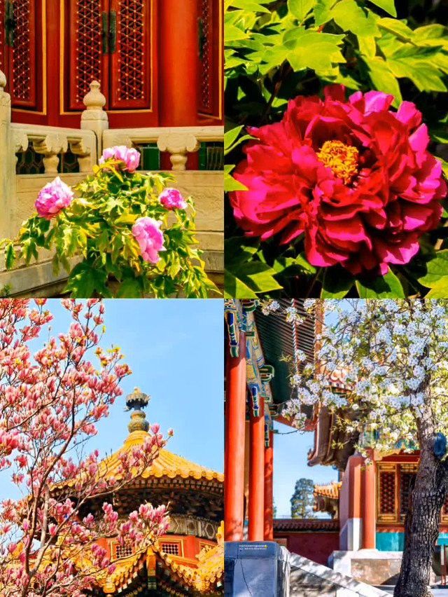 金龍裝飾風格在哪些地方最為常見？