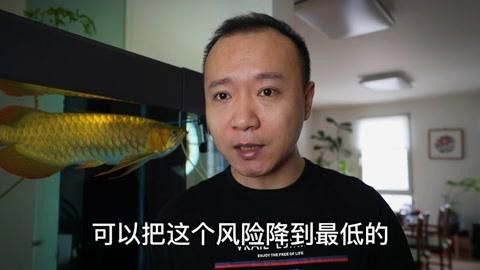 有哪些食物可以幫助預(yù)防龍魚內(nèi)寄