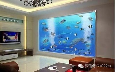 客廳魚缸如何擺放，客廳魚缸擺放影響財運嗎客廳魚缸擺放影響財運嗎