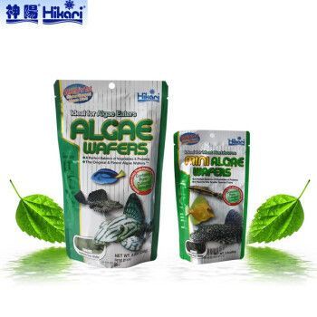 黃金斑馬飼料選擇指南，黃金斑馬魚專用飼料品牌排行