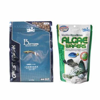 黃金斑馬飼料選擇指南，黃金斑馬魚專用飼料品牌排行