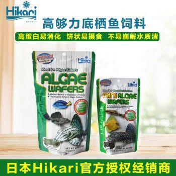 黃金斑馬飼料選擇指南，黃金斑馬魚專用飼料品牌排行
