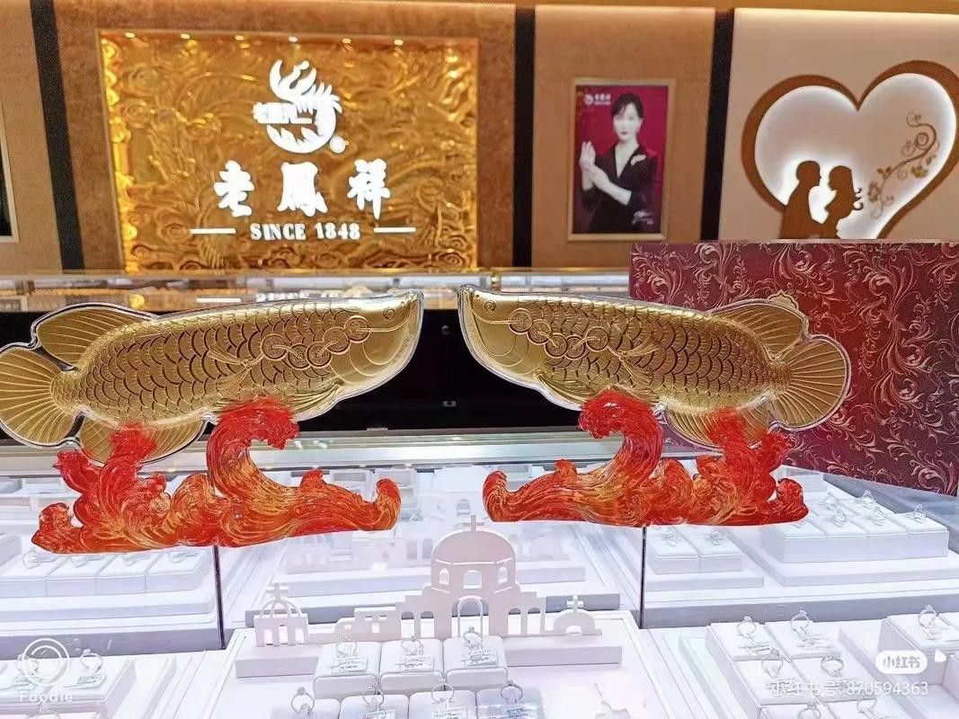 老鳳祥金龍魚金條