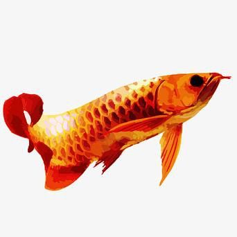 有沒有更多簡潔風格的紅龍魚頭像？