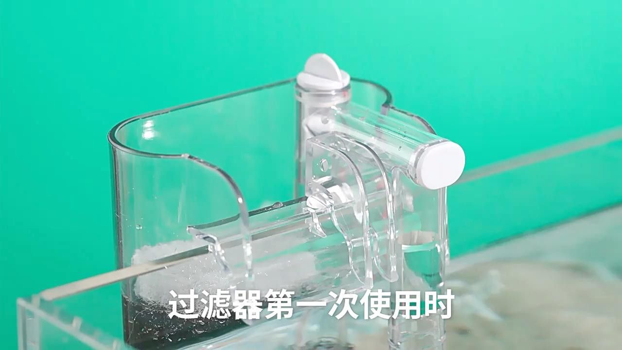 如何設(shè)置壁掛過(guò)濾以適應(yīng)鬼王雷龍？