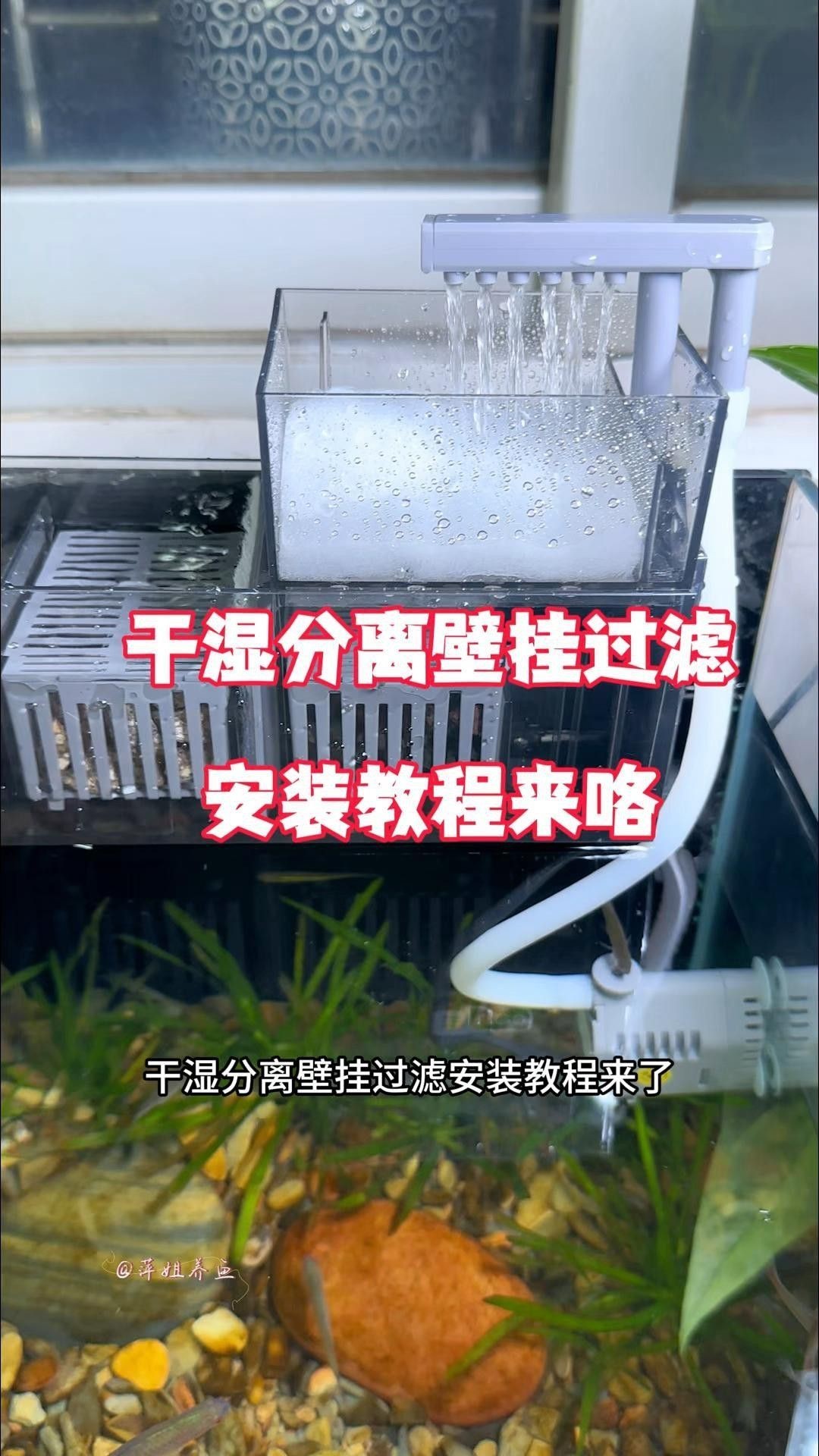 如何設置壁掛過濾以適應鬼王雷龍？