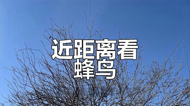 有哪些專業(yè)的攝影論壇可以參考？