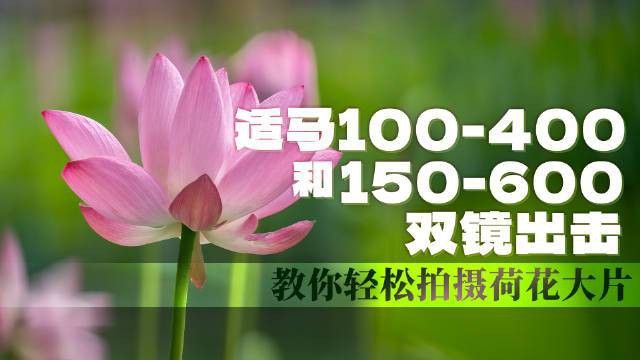 有哪些專業(yè)的攝影論壇可以參考？