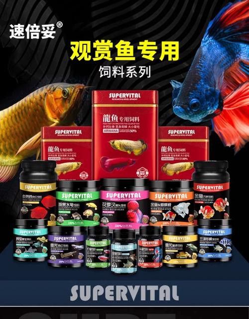 金龍魚如何發色快一點圖片
