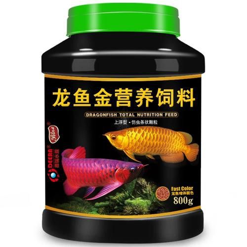 金龍魚如何發色快一點圖片