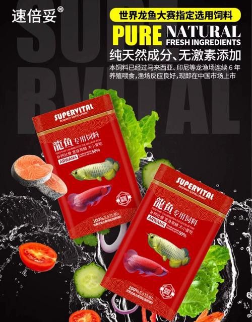 金龍魚如何發色快一點圖片