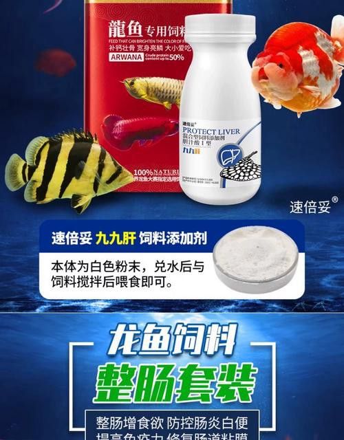 金龍魚如何發色快一點圖片