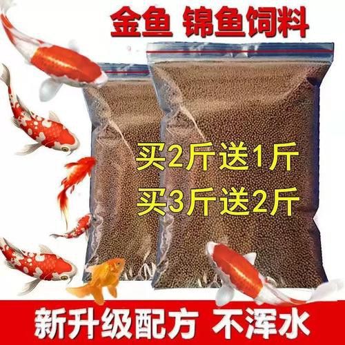 金龍魚如何發色快一點圖片
