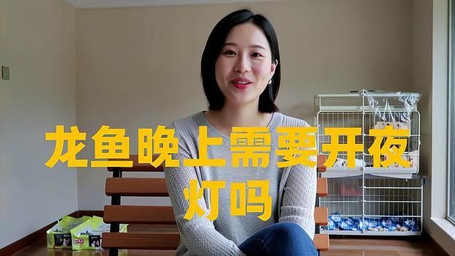 銀龍魚晚上開燈好還是關(guān)燈好