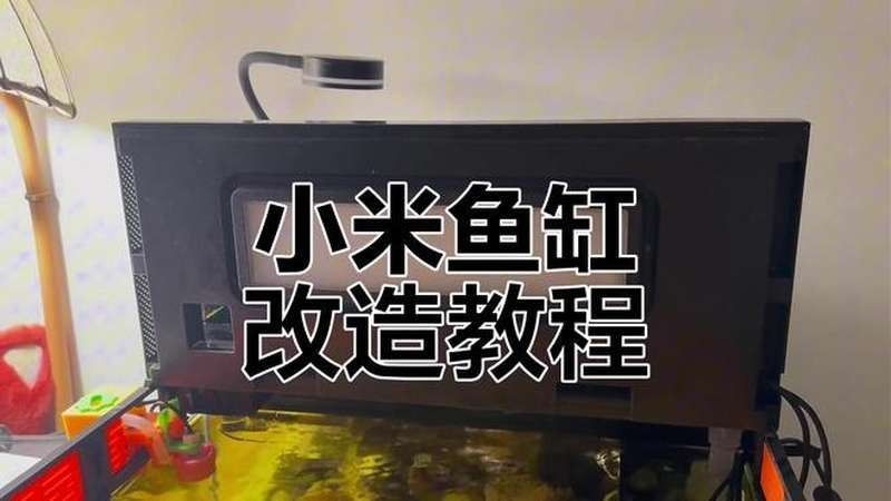 龍魚缸改海缸