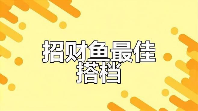 招財魚可以和銀龍魚混養嗎圖片視頻