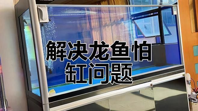 如何設置龍魚缸的水流和過濾？