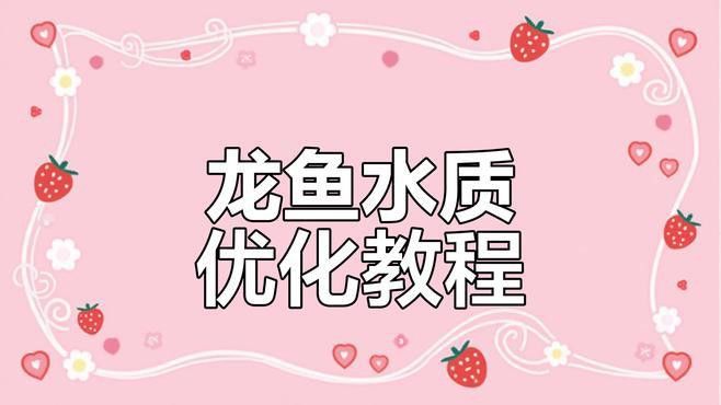 如何設置龍魚缸的水流和過濾？