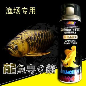 龍魚用什么藥驅內寄蟲效果好呢（如何選擇適合龍魚的驅蟲藥物）