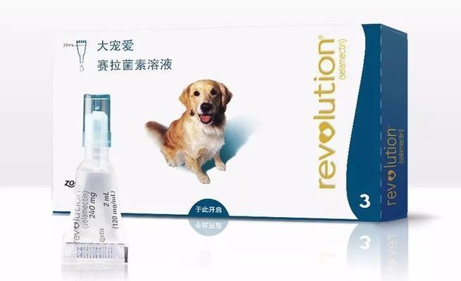 龍魚用什么藥驅內寄蟲效果好呢（如何選擇適合龍魚的驅蟲藥物）