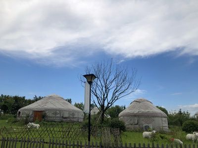 龍魚濾材推薦品牌：龍魚濾材選擇