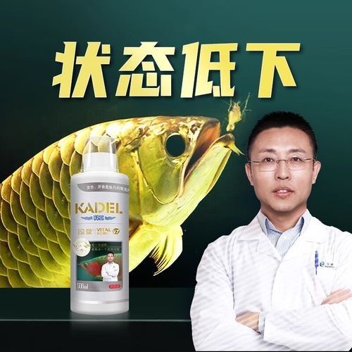 龍魚專用修復劑哪個品牌最好？