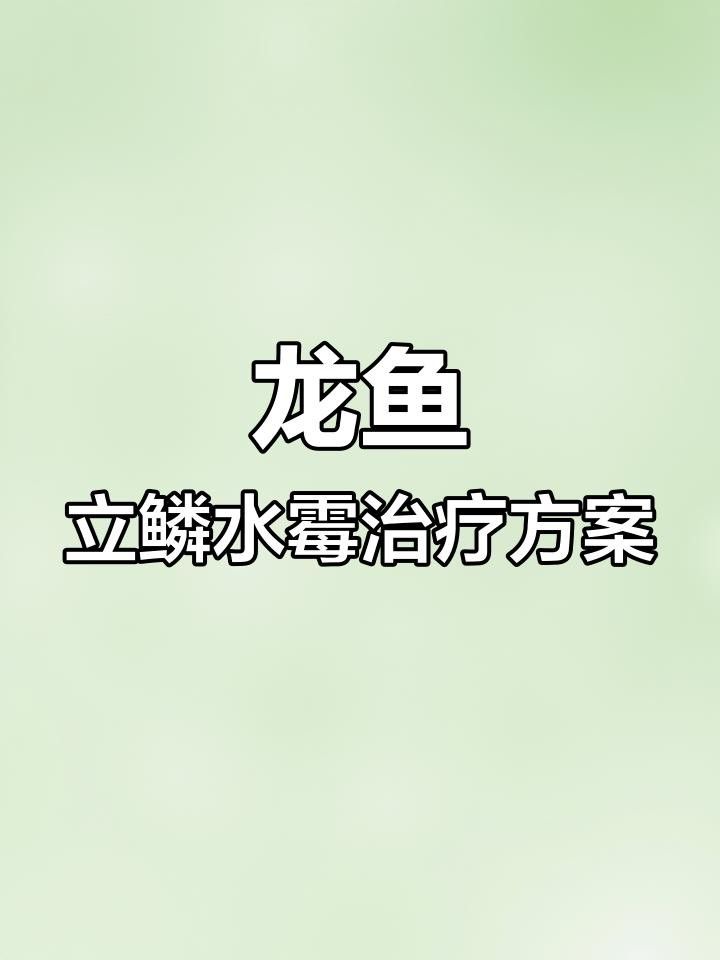 龍魚立鱗病復發怎么辦？