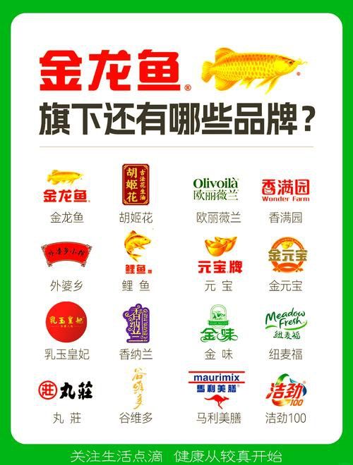 金龍魚logo設(shè)計理念是什么? 龍魚百科 第4張 金龍魚logo設(shè)計理念是什么? 金龍魚logo設(shè)計理念是什么? 龍魚百科 第4張