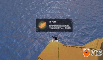 野生金龍魚哪里可以釣到：野生金龍魚可以在多個地區(qū)釣到 野生金龍魚哪里可以釣到：野生金龍魚可以在多個地區(qū)釣到 龍魚百科 第2張