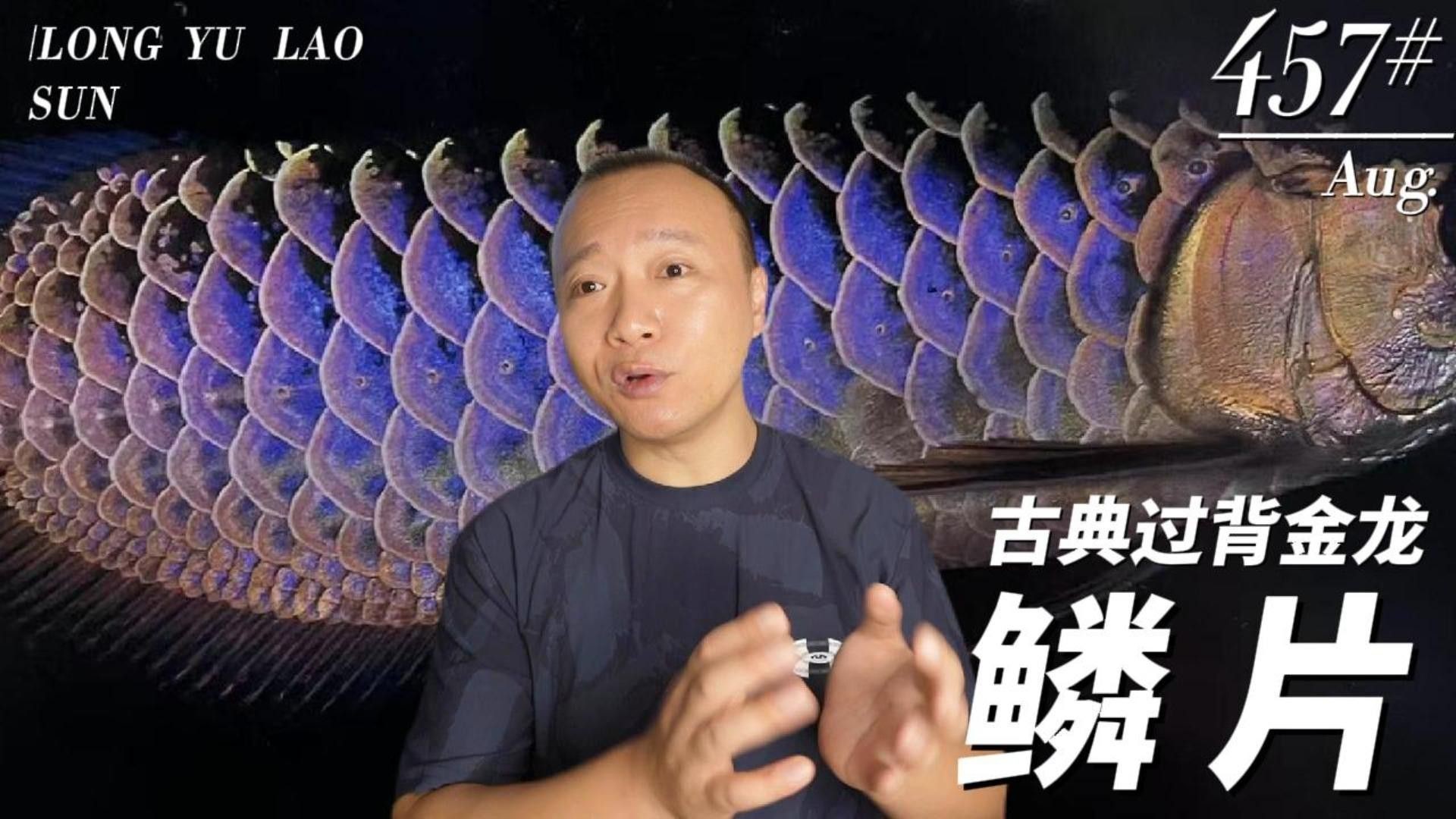 怎么讓龍魚鱗片發亮