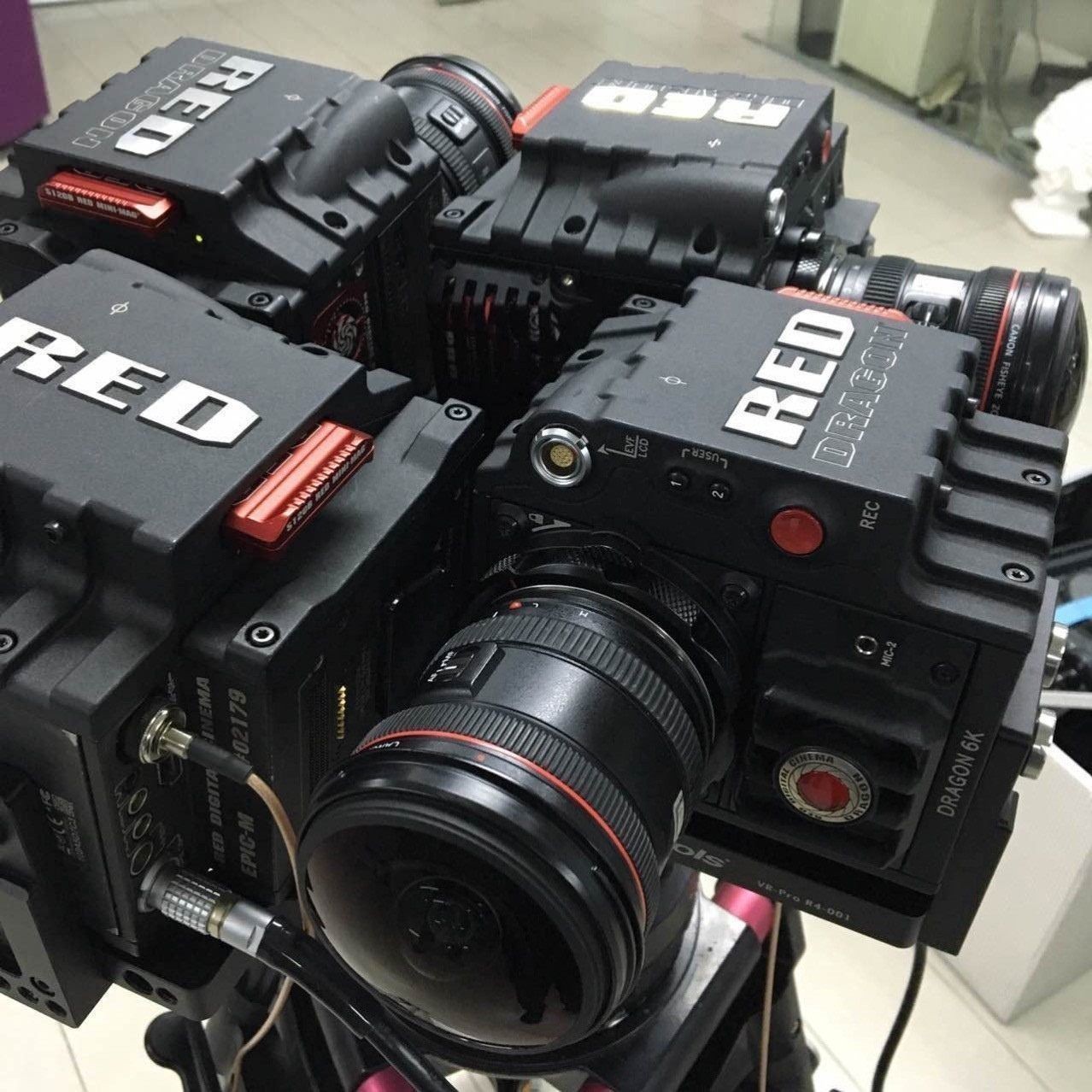 red紅龍官網(wǎng)：red龍官網(wǎng)是什么？