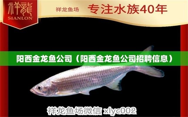 紅龍魚燈光開幾小時好（紅龍魚燈光開幾小時好呢）