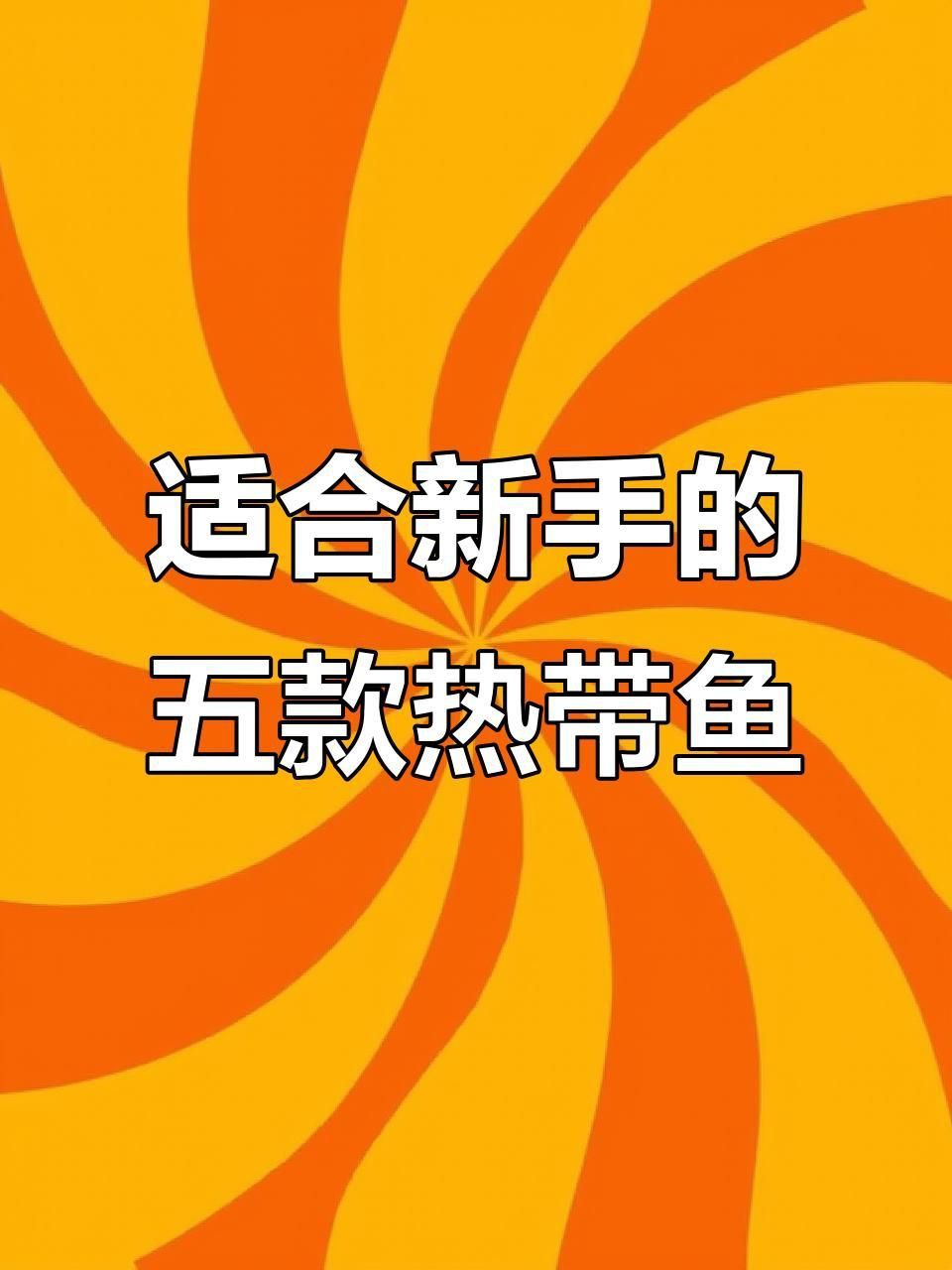 哪種魚最好看又好養