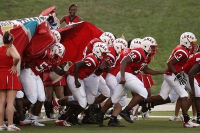 野生的金龍魚生長在哪里（野生金龍魚主要分布在以下幾個地區）