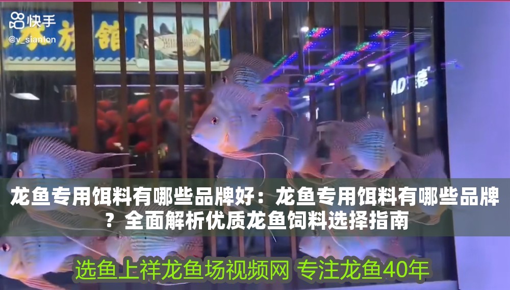 龍魚專用餌料有哪些品牌好：龍魚專用餌料有哪些品牌？全面解析優(yōu)質(zhì)龍魚飼料選擇指南