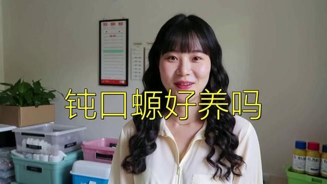 飼養(yǎng)六角恐龍魚(yú)的教學(xué)