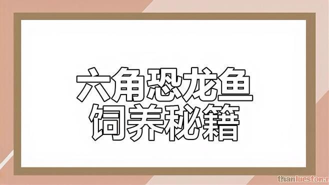 飼養(yǎng)六角恐龍魚(yú)的教學(xué)