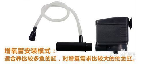 魚缸中的各種水泵的用法視頻（如何維護魚缸潛水泵延長壽命）