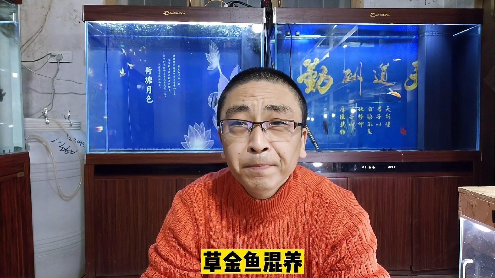 冷水魚怎么混養搭配最好