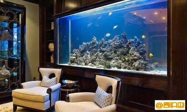 中國十大最頂級的魚缸